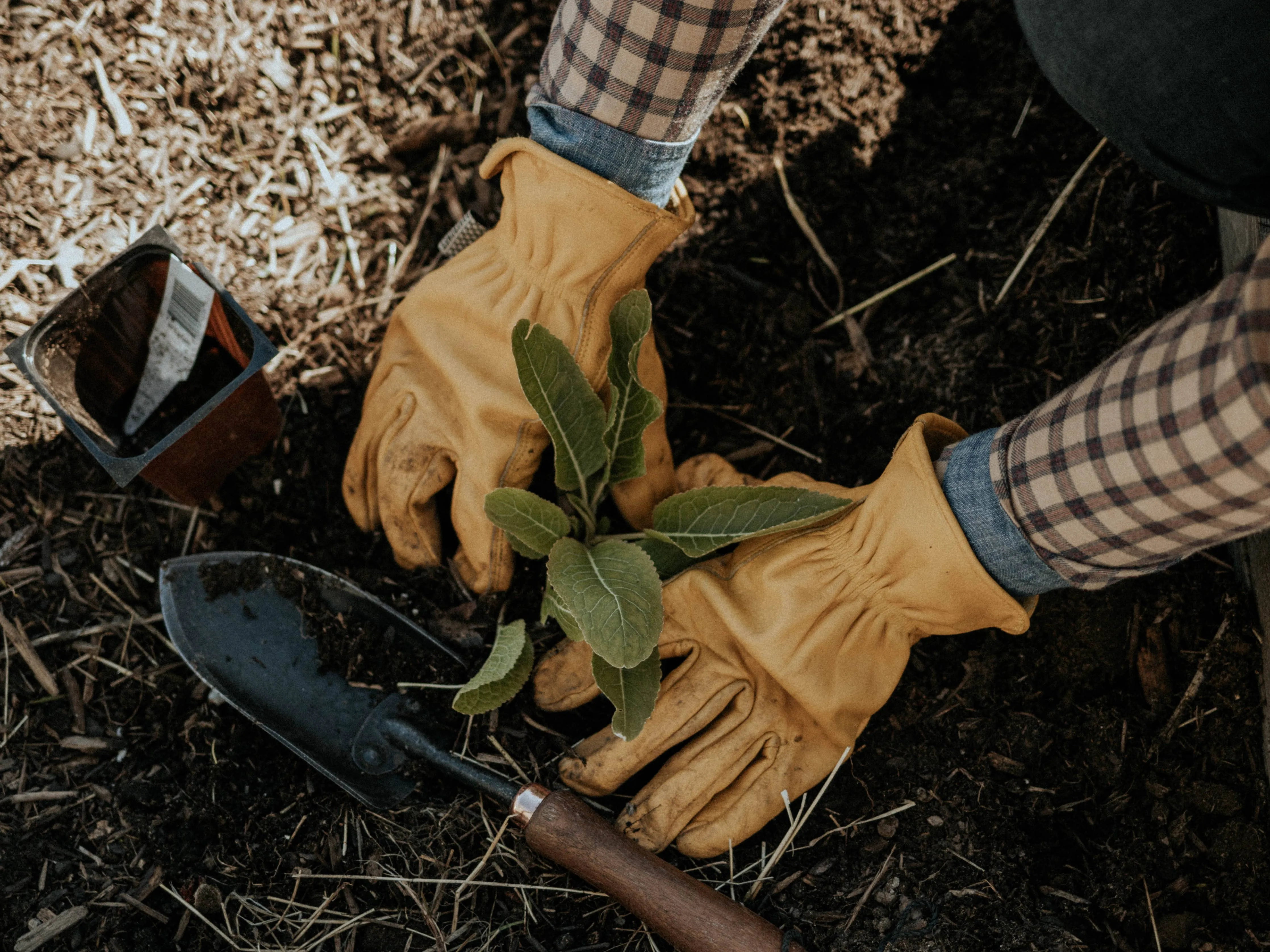 Classic Work Gloves: S/M / Natural Yellow
